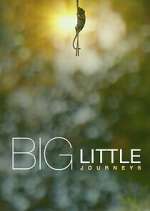 Watch Big Little Journeys FMoviesFree
