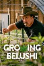 Watch Growing Belushi FMoviesFree