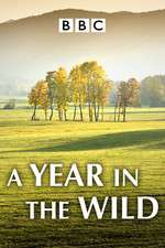 Watch A Year in the Wild FMoviesFree