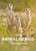 Watch Animal Genius FMoviesFree