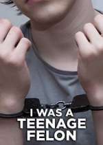 Watch I Was a Teenage Felon FMoviesFree