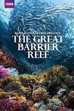 Watch Great Barrier Reef with David Attenborough FMoviesFree