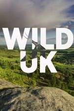 Watch Wild UK FMoviesFree