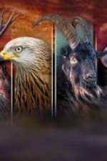 Watch Wales: Land of the Wild FMoviesFree