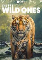 Watch The Wild Ones FMoviesFree