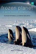 Watch Frozen Planet FMoviesFree