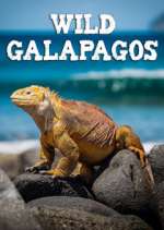 Watch Wild Galapagos FMoviesFree