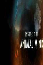 Watch Inside the Animal Mind FMoviesFree
