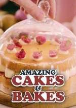 Watch Amazing Cakes & Bakes FMoviesFree