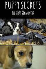 Watch Puppy Secrets: The First Six Months FMoviesFree
