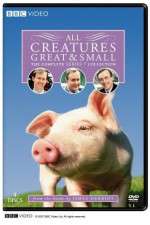 Watch All Creatures Great and Small FMoviesFree