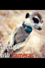 Watch Animals with Cameras FMoviesFree