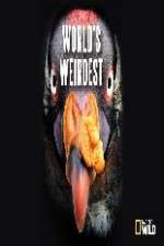 Watch National Geographic Worlds weirdest FMoviesFree