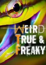 Watch Weird, True & Freaky FMoviesFree