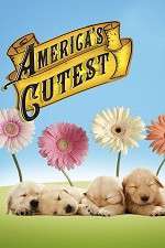 Watch America's Cutest FMoviesFree