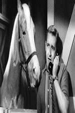 Watch Countdown to... FMoviesFree