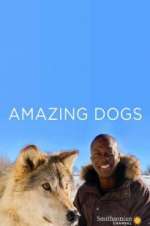 Watch Amazing Dogs FMoviesFree