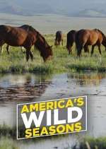 Watch America's Wild Seasons FMoviesFree