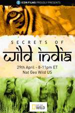 Watch Secrets of Wild India FMoviesFree