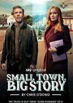 Watch Small Town, Big Story FMoviesFree