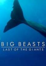 Watch Big Beasts: Last of the Giants FMoviesFree