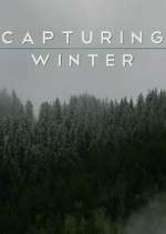 Watch Capturing Winter FMoviesFree