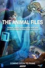 Watch The Animal Files FMoviesFree