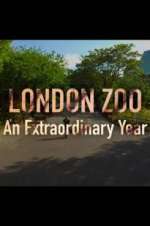 Watch London Zoo: An Extraordinary Year FMoviesFree