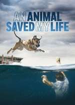 Watch An Animal Saved My Life FMoviesFree