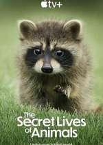 Watch The Secret Lives of Animals FMoviesFree