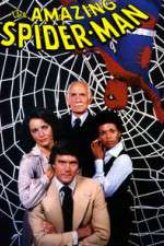 Watch The Amazing Spider-Man FMoviesFree