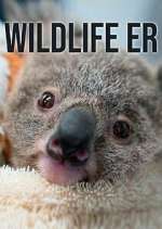 Watch Wildlife ER FMoviesFree