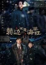 Watch Winter Begonia FMoviesFree