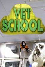 Watch Vet School FMoviesFree