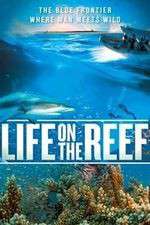 Watch Life on the Reef FMoviesFree