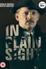 Watch In Plain Sight FMoviesFree