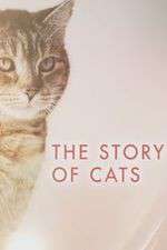 Watch The Story of Cats FMoviesFree