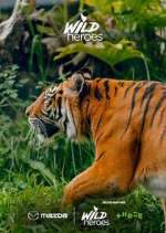 Watch Wild Heroes FMoviesFree