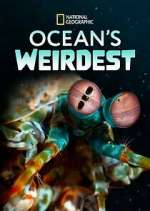Watch Ocean's Weirdest FMoviesFree