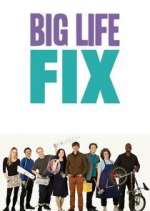Watch The Big Life Fix FMoviesFree