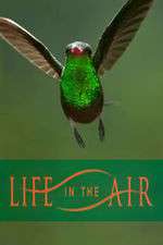 Watch Life in the Air FMoviesFree