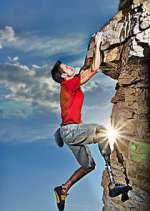 Watch Fight to Survive FMoviesFree