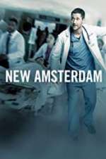 Watch New Amsterdam FMoviesFree