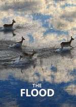 Watch The Flood FMoviesFree