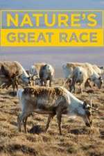 Watch Nature's Great Race FMoviesFree