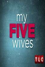 Watch My Five Wives FMoviesFree