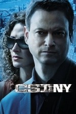 csi: ny / new york tv poster