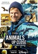 Watch Animals Up Close with Bertie Gregory FMoviesFree