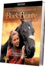 Watch The New Adventures of Black Beauty FMoviesFree