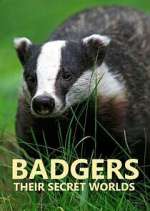 Watch Badgers: Their Secret Worlds FMoviesFree